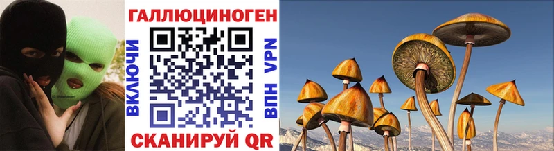 Галлюциногенные грибы Psilocybe хочу наркоту Екатеринбург