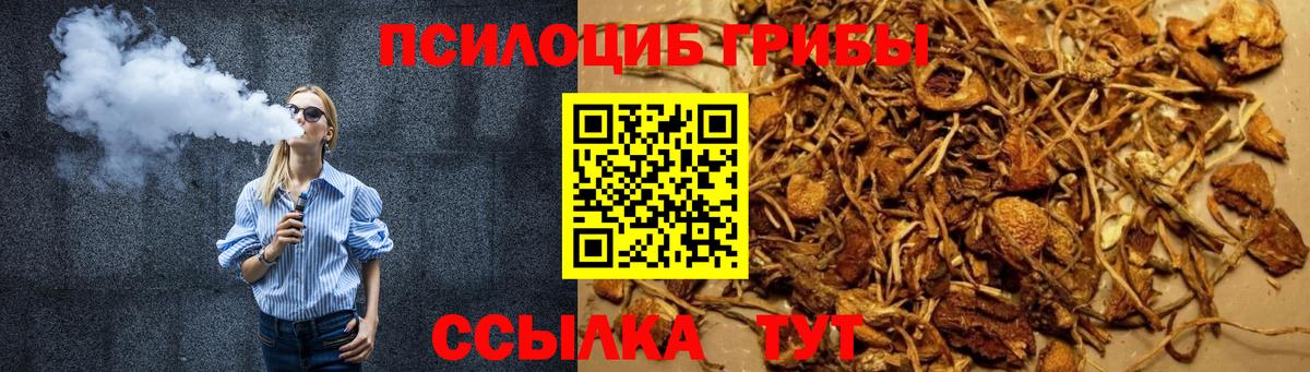 продажа наркотиков  Галлюциногенные грибы GOLDEN TEACHER  Вход с VPN  Екатеринбург 