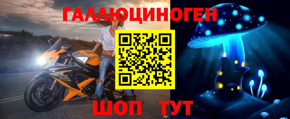 Галлюциногенные грибы GOLDEN TEACHER  наркотики  Екатеринбург 